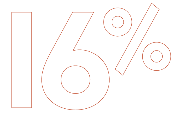 16 16%