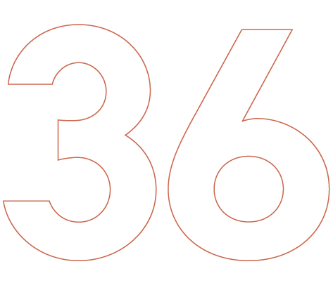 36 16%