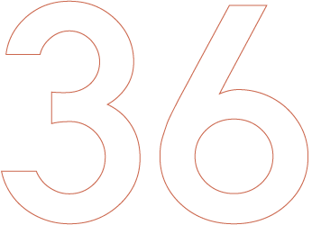 36 16%
